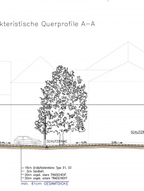 Rathausplatz Herzogenburg - Querschnitt